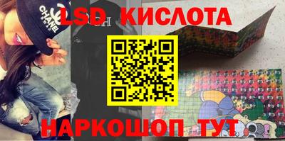 тгк Кингисепп