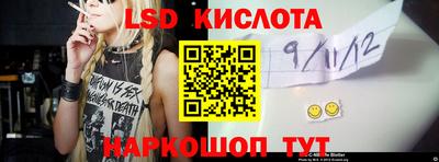 тгк Кингисепп