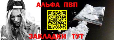 тгк Кингисепп