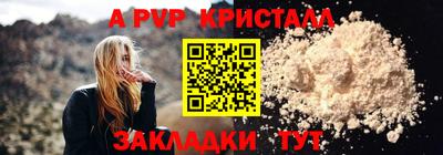 тгк Кингисепп