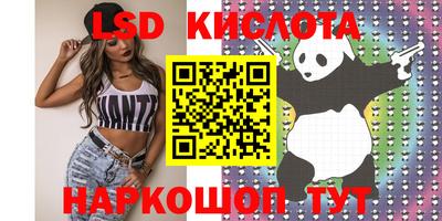тгк Кингисепп