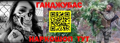 тгк Кингисепп
