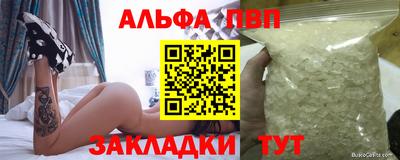 тгк Кингисепп