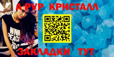 тгк Кингисепп