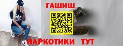 тгк Кингисепп