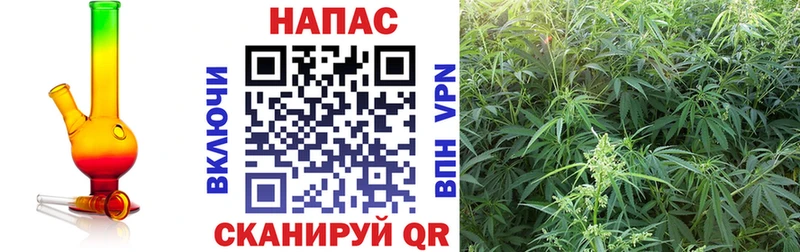 МАРИХУАНА конопля Сорочинск